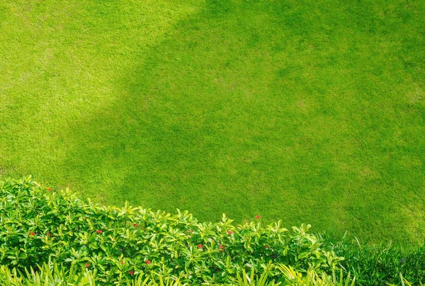 Зверху Вниз Трави Ідеальна Концепція Використовується Виготовлення Зеленого Газону Тренувань — стокове фото