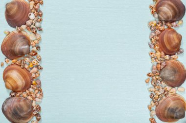 Açık mavi yüzeyde kahverengi deniz kabuğu ve pürüzsüz deniz taşları. Uzayı kopyala Mesaj için yer var. Soyut açık mavi arkaplan.