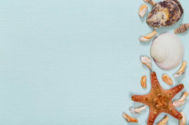 Açık mavi yüzeyde deniz yıldızı ve deniz taşları. Uzayı kopyala Mesaj için yer var. Soyut açık mavi arkaplan.