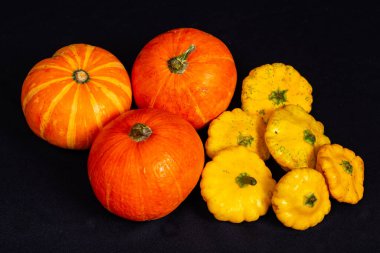 Siyah arka planda renkli organik sebzeler. Balkabağı, sarı kabak. Sonbahar hasadı.