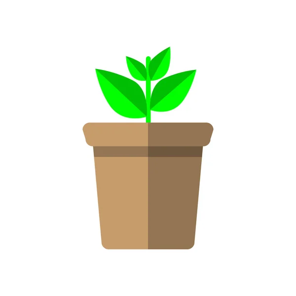 Pot Isolé Avec Une Plante Dans Design Plat Illustration Art — Image vectorielle