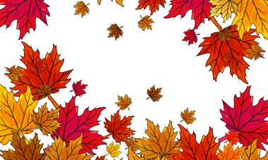 Beyaz bir arka plan üzerinde vektör sanat çizim çok renkli sonbahar yaprakları.