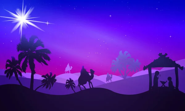Noel Vektör Sanat Çizim Gece Yıldızlı Çöl Manzarası — Stok Vektör