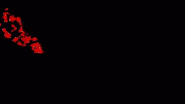 Yaprakları sanat video illüstrasyon, siyah bir arka plan yüzen.