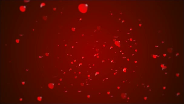 Vele Roze Bloemblaadjes Een Feestelijke Rode Achtergrond Kunst Video Afbeelding — Stockvideo