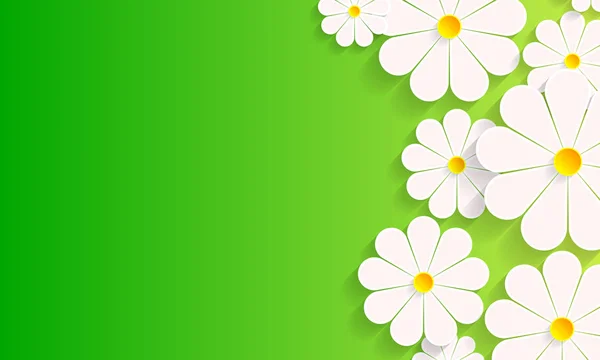 Fundo Primavera Verde Com Flores Margarida Ilustração Arte Vetorial —  Vetores de Stock