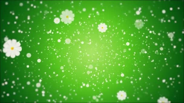 Багато Ромашок Весняно Зеленому Тлі Ілюстрація Художнього Відео — стокове відео