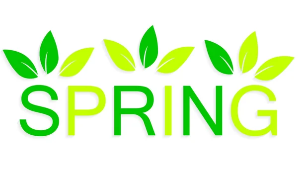 Yaprakları ile yeşil kelime bahar afiş — Stok Vektör