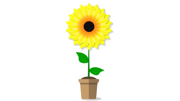 Sonnenblume im Topf — Stockvektor