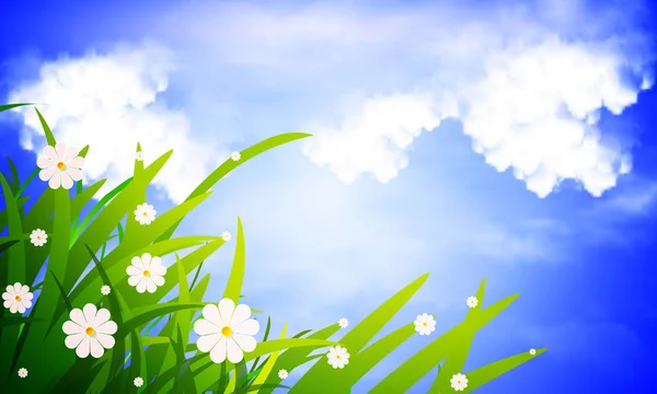 green grass and daisies against the sky landscape