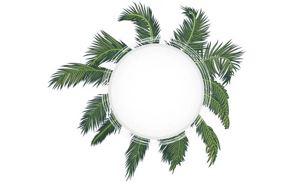 棕榈枝背景上的横幅 矢量艺术插图 — 图库矢量图片