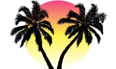 Gün batımı ve palmiye ağaçlarının silueti, vektör sanat illüstrasyon.