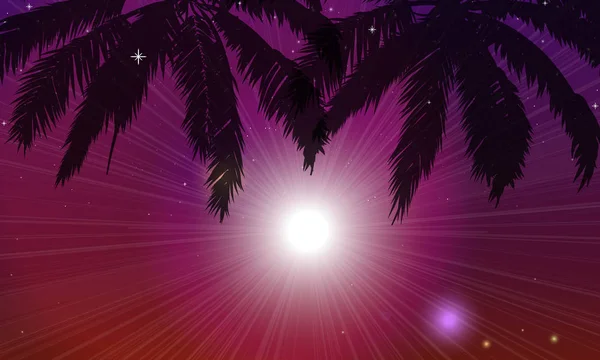 Bir Yaz Gecesi Gökyüzüne Karşı Palmiye Ağaçları Vektör Sanat Illüstrasyon — Stok Vektör