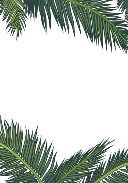 Yaz Tropikal Egzotik Palmiye Yaprakları Çerçeve Vektör Sanat Illüstrasyon — Stok Vektör