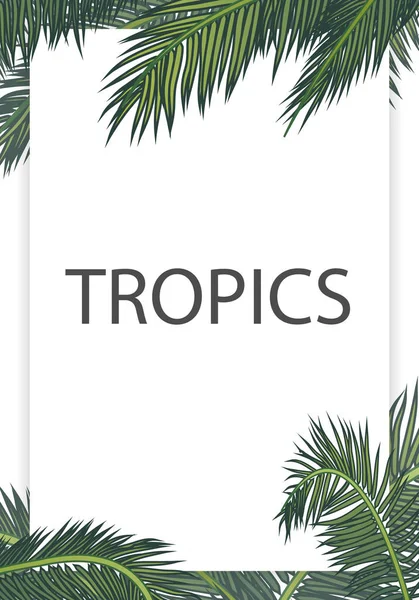 Tropikalne Liści Palmowych Białym Tle Banner Grafika Wektorowa Ilustracji — Wektor stockowy