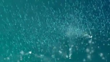 Bir deniz dalgasının su rengisoyut düşen damlaarka, sanat video illüstrasyon.