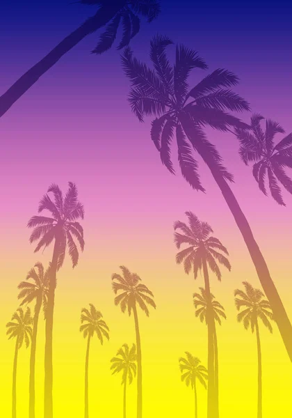 夏季热带背景 有棕榈树和日落 矢量艺术图解 — 图库矢量图片