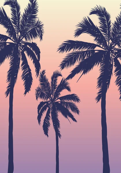 夏季热带背景 有3棵棕榈树 天空和日落 矢量艺术图解 — 图库矢量图片