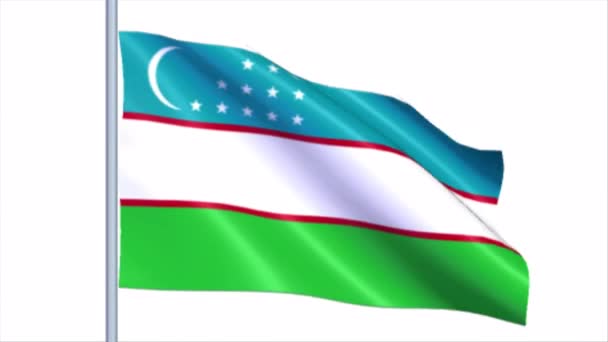 Uzbekistán Bandera Fondo Ilustración Video Arte — Vídeos de Stock