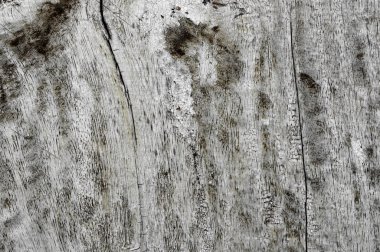 eski ahşap tahta kullanım için arka plan dokusu