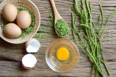 o cha-om omlet, Tayland mutfağı, yemek pişirmek için yumurta ve akasya pennata madde çağırır