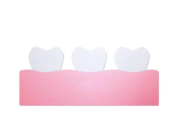 Zdravý zub — Stock fotografie