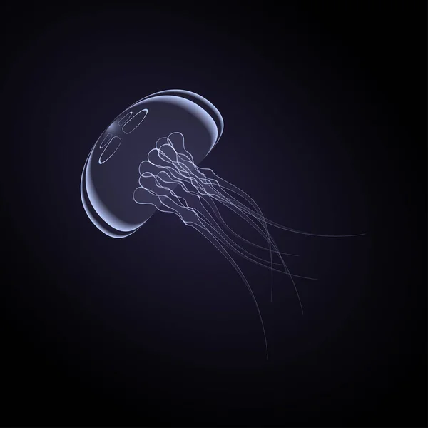 Medusa Com Brilho Azul Debaixo Água Desenhe Animais Pode Ser — Vetor de Stock