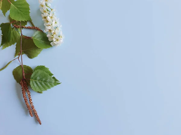 Una Rama Abedul Con Hierbas Frescas Una Rama Cerezo Floreciente — Foto de Stock