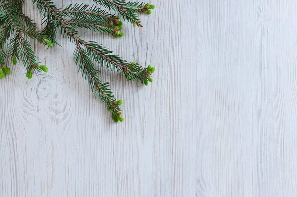 Ahşap arka plandaki köknar dalının üst görüntüsü. Noel duvar kâğıdı, düz konum, boşluğu kopyala.