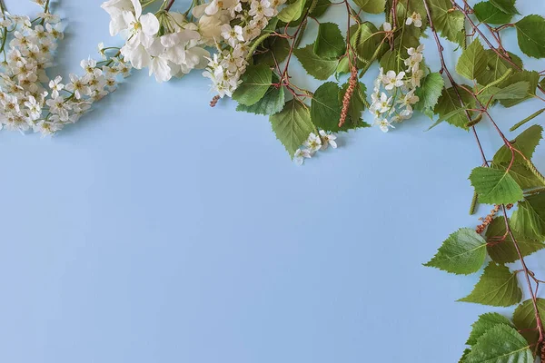 Taze yeşil huş ağacının ve pastel mavi arka planda kiraz çiçeklerinin üst görüntüsü. Yeşillik ve çiçeklerin çerçevesi. Metnin ya da ürünün için bedava bir yer. Yaz fotoğrafı, düz yatış..