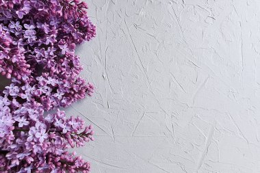 Açık gri beton arka planda pembe leylak dallarının çiçek deseni. Çiçeklerle markalaştırma fotoğrafı. Çiçek düzlüğü, üst manzara.