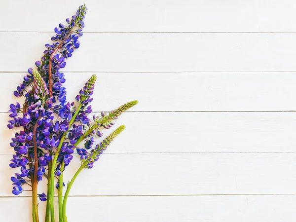 Çiçek kompozisyonu. Fildişi renkli arka planda mor çiçeklerden yapılmış bir çerçeve ve yatay tahtalar. Düz konum, üst görünüm, kopyalama alanı.