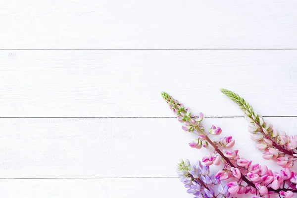 Rosa Och Lila Lupiner Ett Trämålat Vitt Bord Bakgrund Vårens — Stockfoto