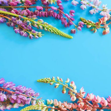 Turkuaz arka planda çiçek çerçevesi. Yaz çiçekleri düz, üst manzara. Bir davetiye ya da tebrik kartı tasarımı. Kare fotoğraf.