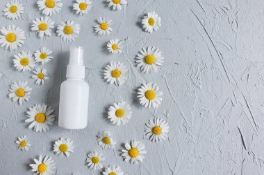 Üst görüntü ve yakın plan beyaz plastik sprey sprey maket ve papatya çiçekleri gri arka planda. Doğal organik kaplıca ve sıvı antimikrobik sprey konsepti. Düz yatış stili.