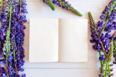 Çalışma masasının yaratıcı düz yatay fotoğrafı. Beyaz ahşap arka planda defter ve lupin çiçeklerinin üst görüntüsü. Romantik konsept.