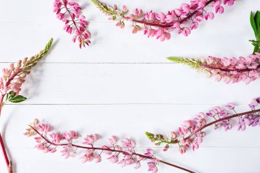 Tahta yatay tahtalardaki çiçek çerçevesinin üst görüntüsü. Boyalı beyaz tahtalar ve pastel pembe lupinler. Metnin, güzellik ürünlerin, sahte dergin için boş yer. Düzlük, yaşam tarzı.