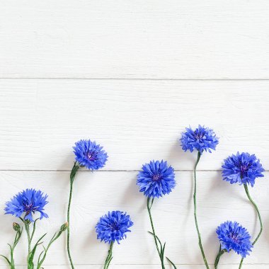 Eski beyaz ahşap arka planda mavi çiçek manzarası. Çiçek çizgisi, düz çizgi, kare fotoğraf.