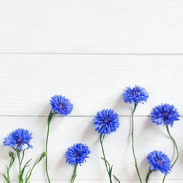 Eski beyaz ahşap arka planda mavi çiçek manzarası. Çiçek çizgisi, düz çizgi, kare fotoğraf.