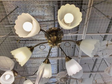 Avizenin alt görüntüsü. Elektrik Deposu