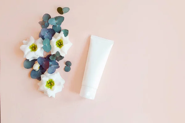 İlaç veya kozmetik ürünlerini damgalamak için beyaz sıkılmış plastik tüp, fildişi arka planda beyaz çiçekler ve okaliptüs yaprakları. Doğal organik kaplıca ürünleri. Üst görünüm, yaşam tarzı.