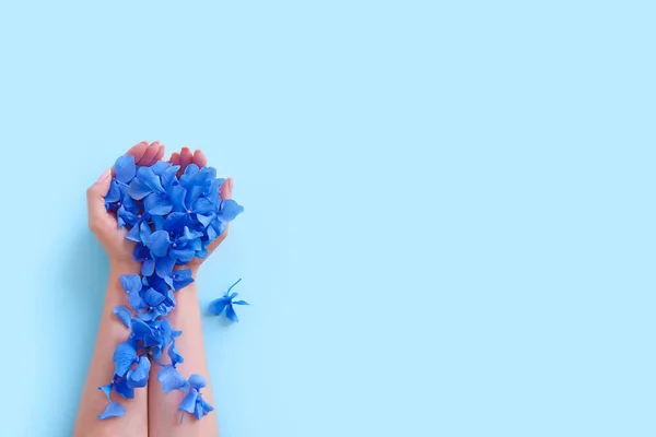 Mavi arka planda ortanca çiçekleri olan kadın ellerinin üst görüntüsü. Moda sanatı ve güzellik düzlüğü, renkli gölgeler. El bakımını kabul et