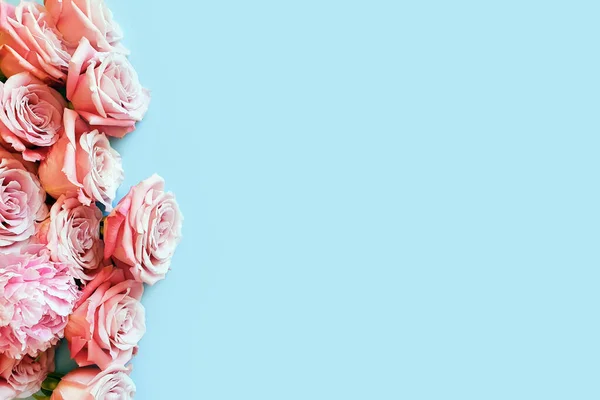 Draufsicht Auf Hellrosa Rosen Auf Pastellblauem Hintergrund Kopierraum Platz Für — Stockfoto