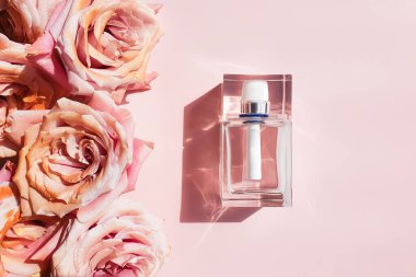 Renkli gölgeli parfüm şişesi ve pembe arka planda pembe güller. Damgalamak ve etiketlemek için bir şişe. Lüks düz konum.