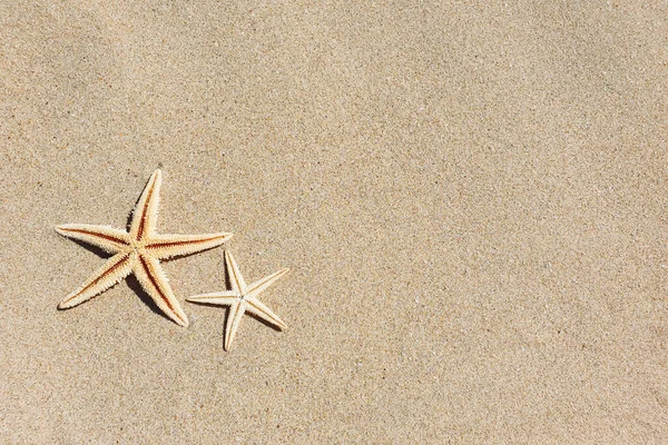 Top View Two Starfishes Beach Sand Travel Tourism Copy Space — Stock Photo, Image