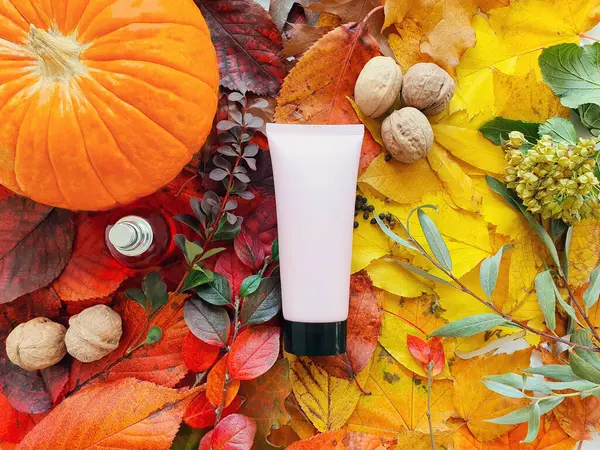 Siyah kapaklı, kabaklı, parlak yapraklı, sonbahar fındıklı pembe sıkılmış plastik tüp. Düz yat. Doğal organik kaplıca konsepti.