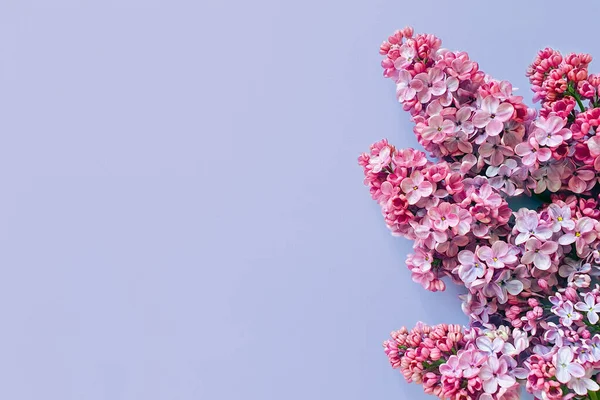 Lilac Blommor Ljus Lavendel Lila Bord Ovanifrån Kopiera Utrymme Blomma — Stockfoto