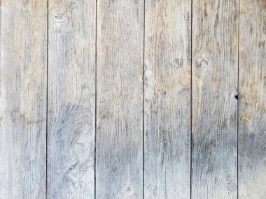 Çatallı klasik ahşap doku. Açık gri kahverengi yüzey, yakın plan.