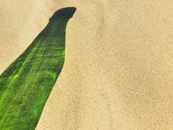 Тінь Зеленої Пляшки Чистому Пляжному Піску Копіювати Простір Вільний Простір — стокове фото