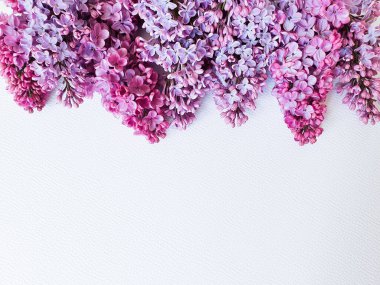 Beyaz desenli arka planda taze leylak çiçekleri. Üst manzara, kopyalama alanı, çiçek düzlüğü. Metin veya güzellik ürünü için yer.